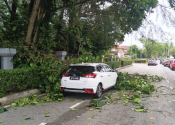 DEDAHAN pokok yang tumbang menimpa sebuah kereta Toyoto Yaris di Bandar Utama, hari ini. - IHSAN BOMBA SELANGOR