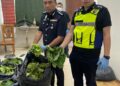SAZALEE Adam (kiri) menunjukkan sebahagian daripada daun ketum yang dirampas dalam satu operasi di Batu Maung, Pulau Pinang hari ini.