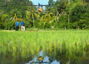 REFORMASIKAN polisi bagi memastikan industri padi dan makanan ruji negara kembali stabil.