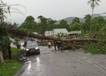 KEADAAN pokok tumbang di sekitar kawasan Hulu Langat akibat ribut petang tadi