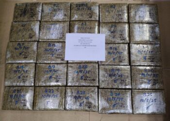 SEBAHAGIAN daripada ketulan ganja yang dirampas susulan penahanan dua lelaki di Perai, Pulau Pinang, Sabtu lalu.-GAMBAR/PDRM PULAU PINANG