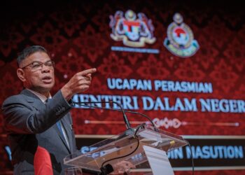 SAIFUDDIN NASUTION ISMAIL