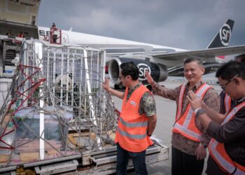 Pasangan panda gergasi Fu Wa dan Feng Yi selamat dihantar pulang ke China ‭setelah berada di Malaysia sejak 21 Mei 2014.