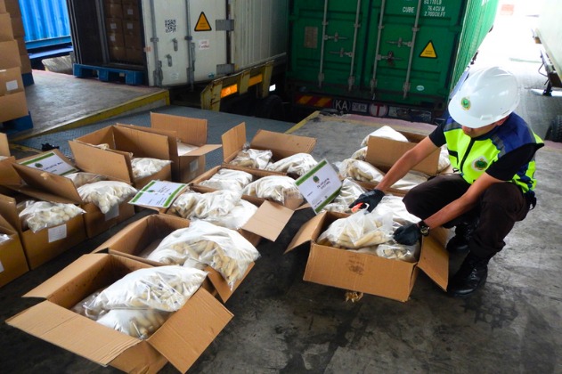 Maqis P.Pinang sita ikan sejuk beku ada DNA babi, ayam