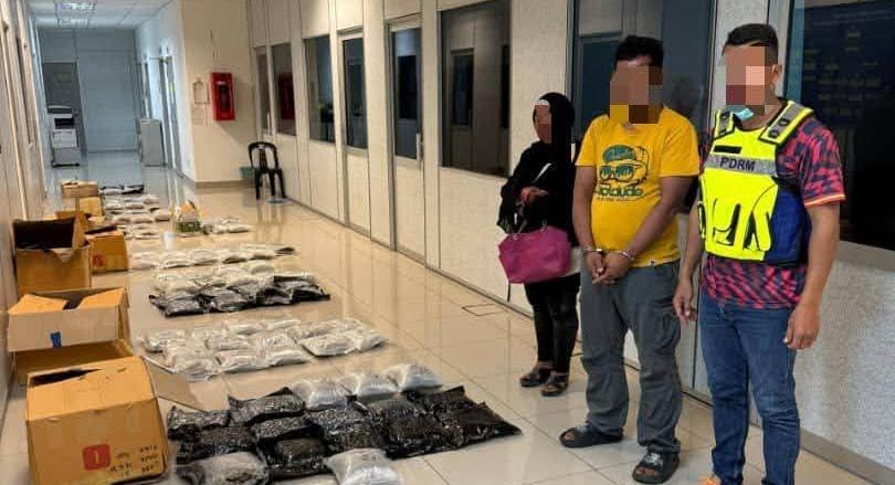 PGA tahan dua individu punggah ganja RM1.95 juta di pangkalan haram