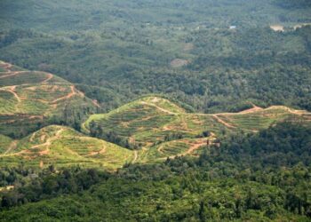 20 peratus kawasan daratan dan perairan daratan perlu dilindungi menjelang 2030.