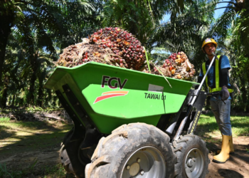 PEKERJA yang sedang melakukan kerja-kerja mengutip buah kelapa sawit di Ladang Felda Besout 6, Perak.-UTUSAN/SYAKIR RADIN