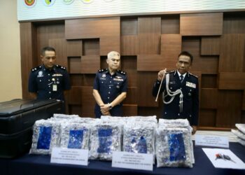 FISOL Salleh (kanan) menunjukkan sebahagian bunga ganja yang dirampas oleh JSJN Kedah ketika sidang akhbar di Ibu Pejabat Polis Kontinjen Kedah, Alor Setar hari ini. - UTUSAN/ SHAHIR NOORDIN