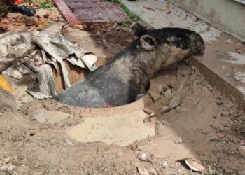 ANGGOTA Jabatan Perlindungan Hidupan Liar dan Taman Negara (Perhilitan) dengan bantuan anggota Angkatan Pertahanan Awam Malaysia (APM) pasukan bomba Marang menyelamatkan tapir yang terjatuh ke dalam lubang kumbahan di Kampung Kijing, Marang, Terengganu.