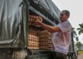 Makanan berasaskan telur dijangka menerima kesan kenaikan harga susulan keputusan kerajaan mengawal harga dan subsidi telur ayam ditamatkan secara berfasa bermula 1 Mei.-GAMBAR HIASAN