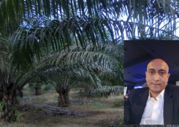NORADLY Othman membuat laporan polis mendakwa tanah Skim Tanah Rakyat (STR) miliknya di Sungai Padi, Mukim Hulu Kuantan di Sungai Lembing di Kuantan, Pahang diceroboh oleh pihak tidak bertanggungjawab.