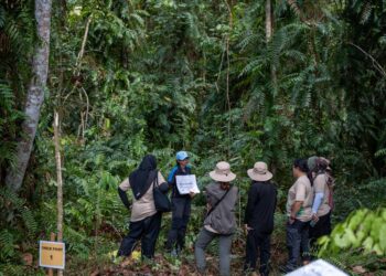SEBAHAGIAN delegasi Pasukan Khas Paya Gambut ASEAN (ATFP) mendengar penerangan mengenai pemeliharaan dan pemuliharaan ketika melawat Pusat Kecemerlangan Hutan Simpan Kekal Raja Musa, dekat Bestari Jaya di Kuala Selangor, Selangor, semalam.
