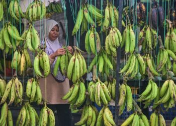 SISTEM cukai mestilah adil, telus dan tidak membebankan golongan berpendapatan rendah.