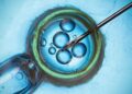 MONASH IVF mendedahkan insiden kesilapan kedua berkaitan pemindahan embrio dalam tempoh dua bulan.-AGENSI 