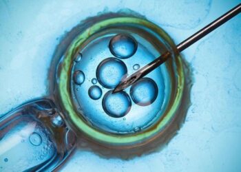 MONASH IVF mendedahkan insiden kesilapan kedua berkaitan pemindahan embrio dalam tempoh dua bulan.-AGENSI 