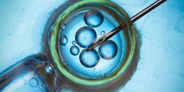 MONASH IVF mendedahkan insiden kesilapan kedua berkaitan pemindahan embrio dalam tempoh dua bulan.-AGENSI 