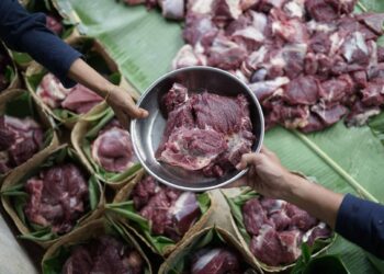 PENGAGIHAN daging korban sering menyumbang kepada peningkatan sisa plastik akibat penggunaan plastik pakai buang.- GAMBAR HIASAN
