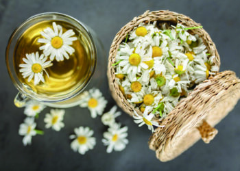 Chamomile tea in a glass cup
