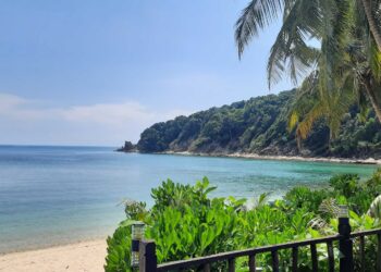 permandangan dari Resort Rimba.