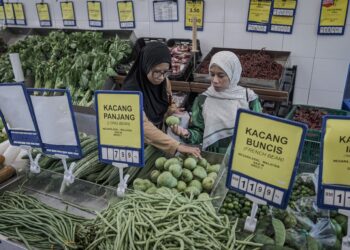 PENGGUNA sebagai pihak yang aktif dan berperanan penting dalam sistem pasaran mampu memperkukuh daya kawalan terhadap sebarang bentuk manipulasi harga oleh peniaga yang tidak beretika.