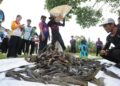 IKAN bandaraya yang berjaya ditangkap di Sungai Skudai, Kampung Pertanian, Kulai, Johor. – UTUSAN/RAJA JAAFAR ALI