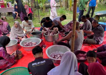PENDUDUK  Felda Jengka 24 bergoyong royong melapah daging korban.