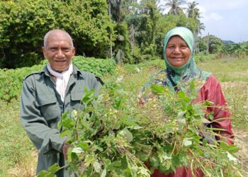 ABDUL Razak Mohd. Yassin dan Beah Pasang menunjukkan maman ketika ditemui di Kampung Batang Rokan, Tampin, Negeri Sembilan.