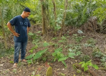 MOHD. Taufik Mansor melihat sebahagian kubur lama lebih seabad di Kampung Bukit Puas di Jerantut, Pahang.