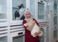 Aina Syazwani Muhammad Razi menunjukkan hotel kucing miliknya yang terletak di Semenyih, Selangor.