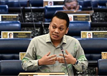 NIK NAZMI NIK AHMAD