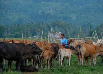 UMAT Islam perlu lebih berwaspada dengan memilih mereka berintegriti dan amanah dalam melaksanakan ibadah korban.