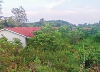 KAWASAN projek rumah mampu milik yang dimajukan swasta terbengkalai dan dilitupi hutan dan semak-samun berdekatan persimpangan masuk dua buah Felda di Simpang Jengka Lapan di Jerantut, Pahang.