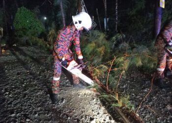 ANGGOTA berusaha memotong pokok rhu yang tumbang dalam kejadian ribut dan hujan di Kemasin Beach Resort, Bachok, Kelantan petang tadi-IHSAN BOMBA