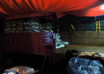 SEBAHAGIAN beras siam yang dirampas dalam satu serbuan di Jalan Kampung Air Gatal, Tanah Merah,Kelantan. -IHSAN PGA