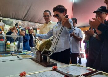 TENGKU Sarafudin Badlishah Sultan Sallehuddin menyaksikan Che Puan Muda Zaheeda Mohamad Ariff yang mencuba peralatan khas mengupas durian ketika berangkat ke Majlis Perasmian Durian Agro Tourism Fest Bandar Baharu 2025 di Dataran Bandar Baharu, hari ini. -UTUSAN/AZAHAR HASHIM