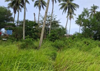 LOKASI penemuan mayat mangsa di bawah pokok kelapa di Kampung Rhu Muda, Marang, Terengganu. - IHSAN PDRM