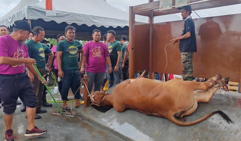 Masjid Kampung Kandang laksana ibadah korban lebih sistematik
