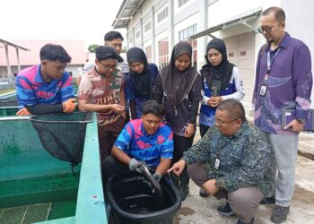 LOKMAN Nor Hakim Norazmi (duduk, kanan) melihat ikan keli yang diternak pelajar tahun akhir Program Akuakultur UMT, di Kuala Nerus, Terengganu. - UTUSAN/ ERMA YUSNIDA JUSOH