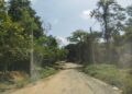 JALAN masuk ke Kampung Kuala Sat, Ulu Tembeling, Jerantut, Pahang.