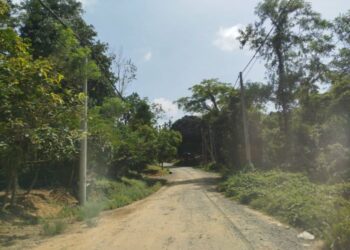 JALAN masuk ke Kampung Kuala Sat, Ulu Tembeling, Jerantut, Pahang.