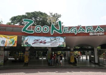 ZOO Negara perlu menurunkan kadar parkir kenderaan bagi mengalakkan orang ramai mengunjungi bersama keluarga dan menyokong usaha pemuliharaan haiwan.
