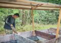 ZAINUDDIN Nong menyiapkan Perahu Tembeling di Kampung Pagi, Ulu Tembeling di Jerantut, Pahang. – MINGGUAN/HARIS FADILAH AHMAD