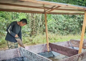 ZAINUDDIN Nong menyiapkan Perahu Tembeling di Kampung Pagi, Ulu Tembeling di Jerantut, Pahang. – MINGGUAN/HARIS FADILAH AHMAD