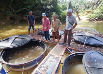 PROJEK ternakan ikan antara yang berisiko terjejas sekiranya kegiatan menuba di Sungai Berang, Hulu Terengganu terus berleluasa.