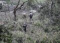 PASUKAN penyelamat melakukan rondaan mencari mangsa banjir kilat yang hilang di Sungai Guadalupe di Kerrville, Texas, kelmarin. – AFP