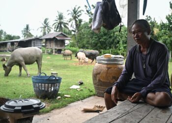 SAMUAN Niratpai duduk di ladangnya di wilayah Surin di sempadan Thailand walaupun kawasan itu diisytihar sebagai zon merah. – AFP