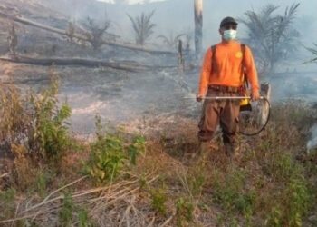 ANGGOTA Manggala Agni memadam kebakaran hutan di Sihapus Barumun, wilayah Padang Lawas, Sumatera Utara. – AGENSI