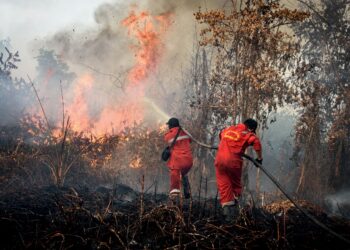 ANGGOTA bomba memadam kebakaran hutan di Rimba Panjang, wilayah Riau, Indonesia. – AFP