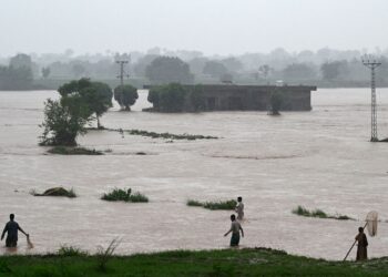 PENDUDUK setempat menjala ikan di kawasan banjir di Rawalpindi, Pakistan. –  AFP