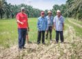 SEKUMPULAN pesawah di Bagan Serai menunjukkan tanah sawah yang kering berikutan masalah bekalan air disebabkan Tasik Bukit Merah. Perak surut berikutan cuaca panas. – mingguan/WAT KAMAL ABAS